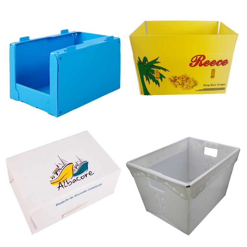 corrugated plastic box 12 corrugated plastic box 12