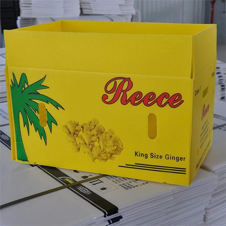 Customized Corrugated plastic vegetable box(001)