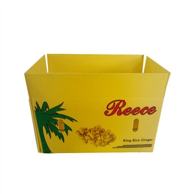 Kuşkonmaz Meyve Paketleme Kutusu