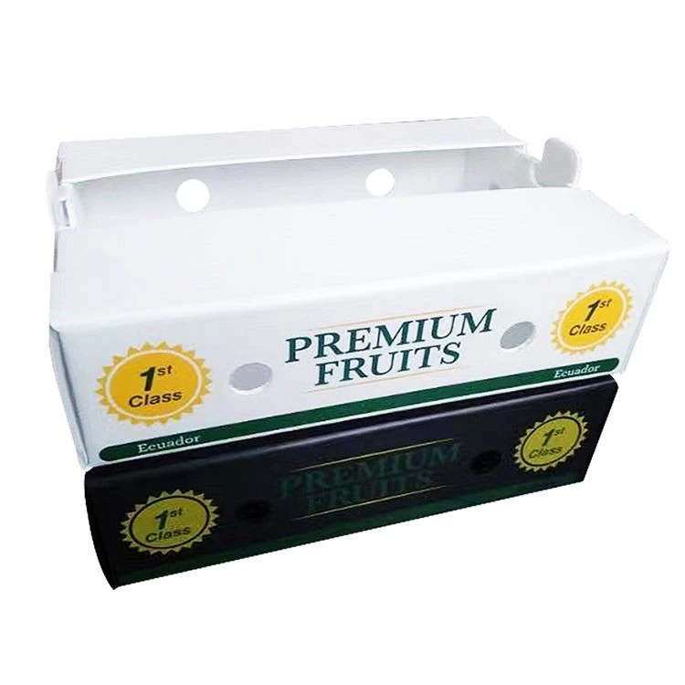 PP Plastic Corrugated Packaging Boxes