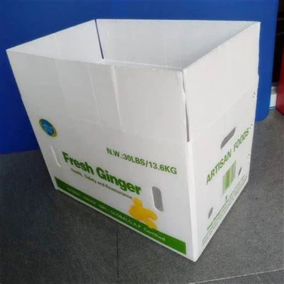 Hafif ve Geri Dönüştürülebilir Oluklu Plastik Kutu